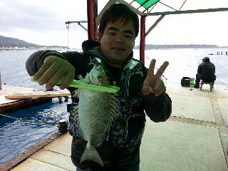 本部釣りイカダ 釣果