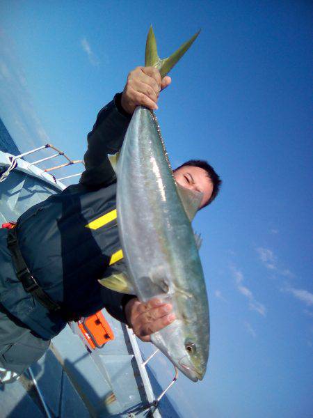 ファイヤードルフィン 釣果