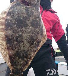 海龍丸（福岡） 釣果