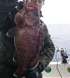 海龍丸（福岡） 釣果
