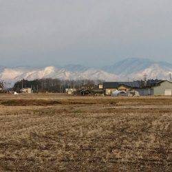 みどりフィッシングエリア 釣果