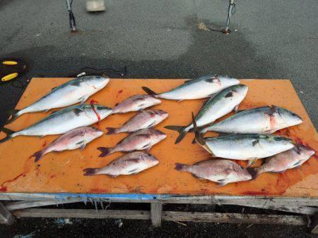 フィッシングパーク錦 釣果