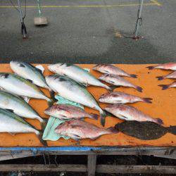 フィッシングパーク錦 釣果