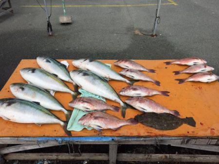 フィッシングパーク錦 釣果