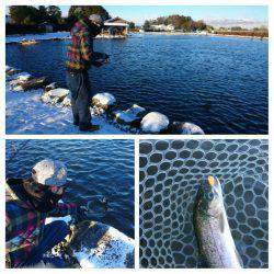 みどりフィッシングエリア 釣果