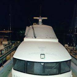 松本釣船2 釣果