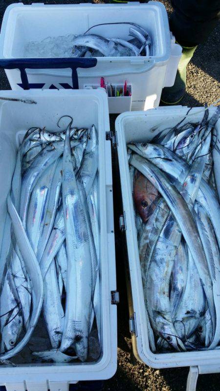 オーフリー 釣果