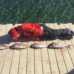 マタウマリンサービス 釣果