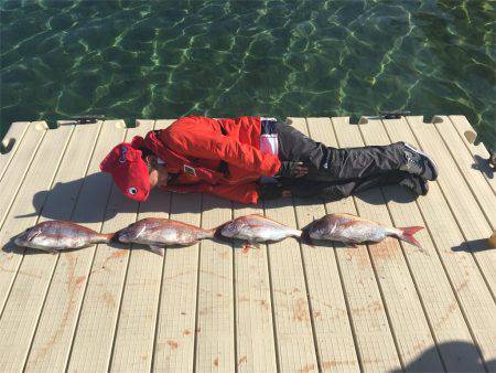 マタウマリンサービス 釣果