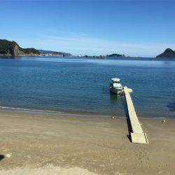 マタウマリンサービス 釣果