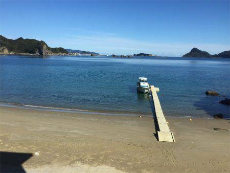 マタウマリンサービス 釣果