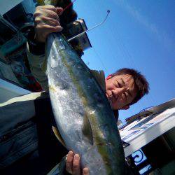 ファイヤードルフィン 釣果