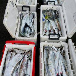 オーフリー 釣果