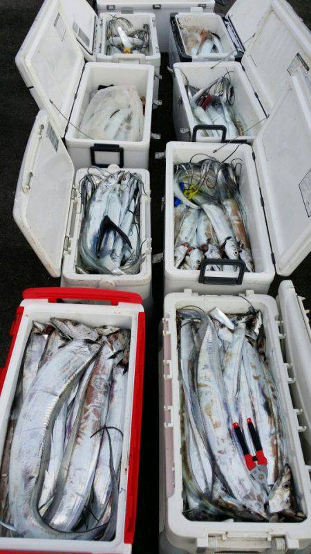 オーフリー 釣果