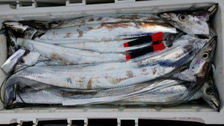 オーフリー 釣果