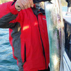 オーフリー 釣果