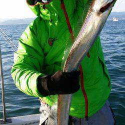 オーフリー 釣果