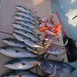 旭星釣りセンター 釣果