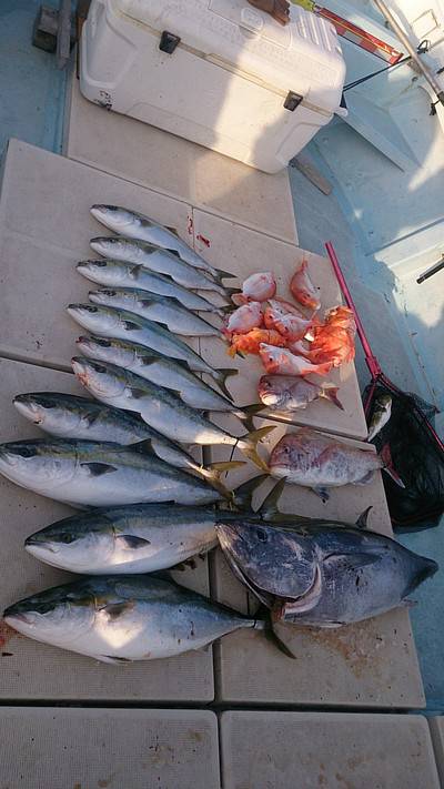 旭星釣りセンター 釣果