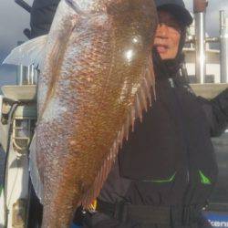 飛燕さくら丸 釣果