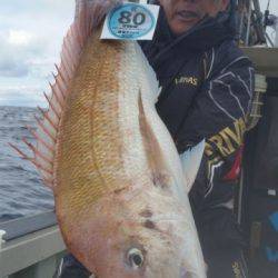 飛燕さくら丸 釣果