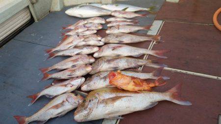 飛燕さくら丸 釣果