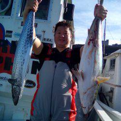 ファイヤードルフィン 釣果