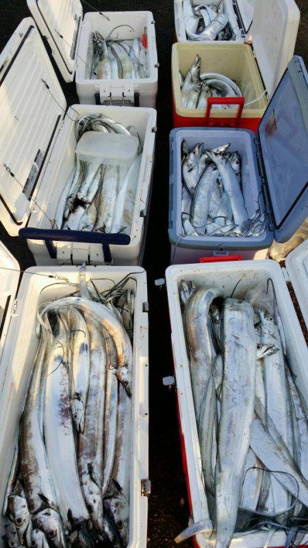 オーフリー 釣果