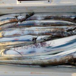 オーフリー 釣果