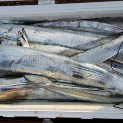 オーフリー 釣果