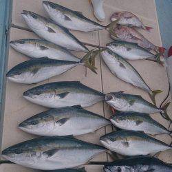 旭星釣りセンター 釣果