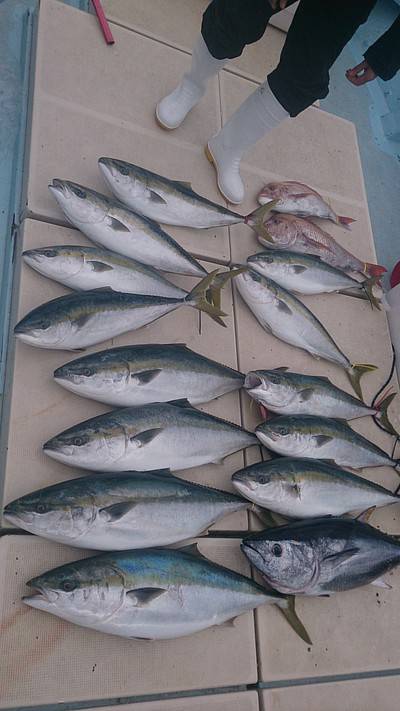 旭星釣りセンター 釣果