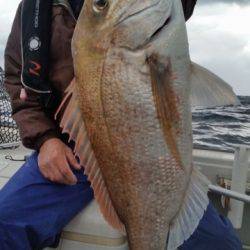 飛燕さくら丸 釣果