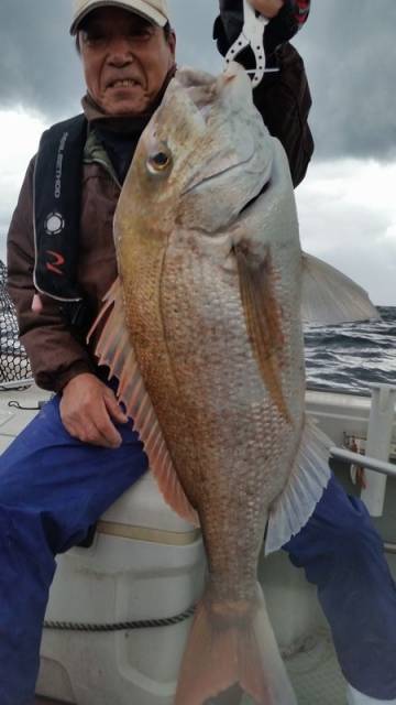 飛燕さくら丸 釣果