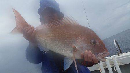 飛燕さくら丸 釣果