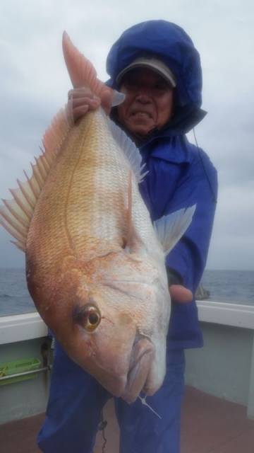 飛燕さくら丸 釣果