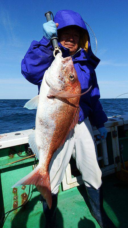 第三むつりょう丸 釣果