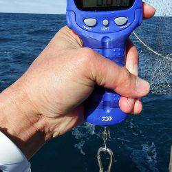 第三むつりょう丸 釣果