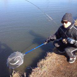 吉羽園 釣果