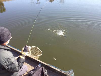 吉羽園 釣果