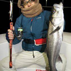 フルコンタクト 釣果