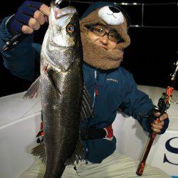 フルコンタクト 釣果