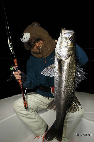 フルコンタクト 釣果