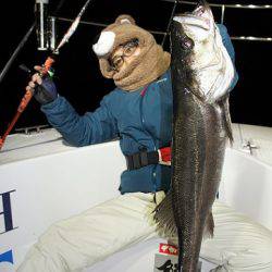 フルコンタクト 釣果