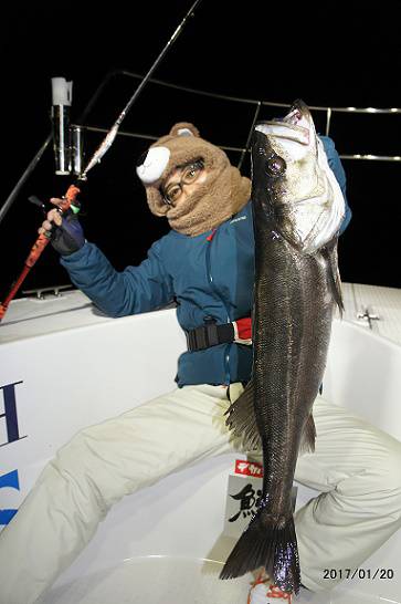 フルコンタクト 釣果