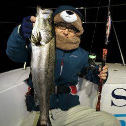 フルコンタクト 釣果