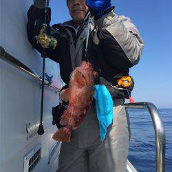 マタウマリンサービス 釣果