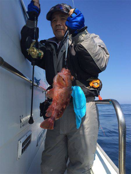 マタウマリンサービス 釣果