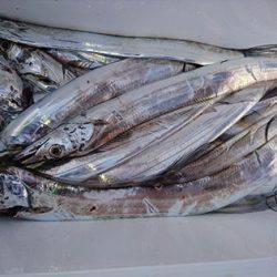 松本釣船２ 釣果