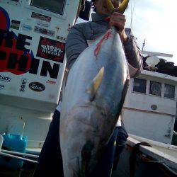 ファイヤードルフィン 釣果